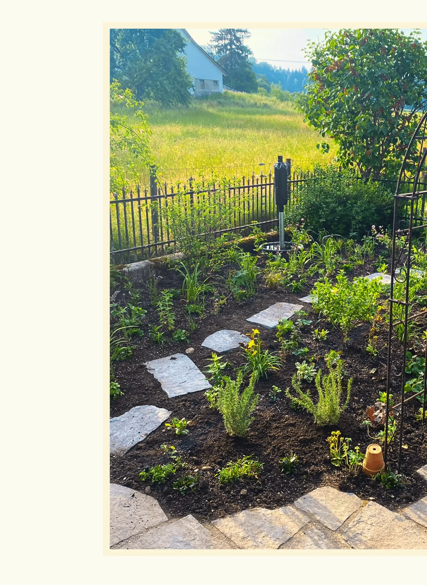 Gartengestaltung und Planung