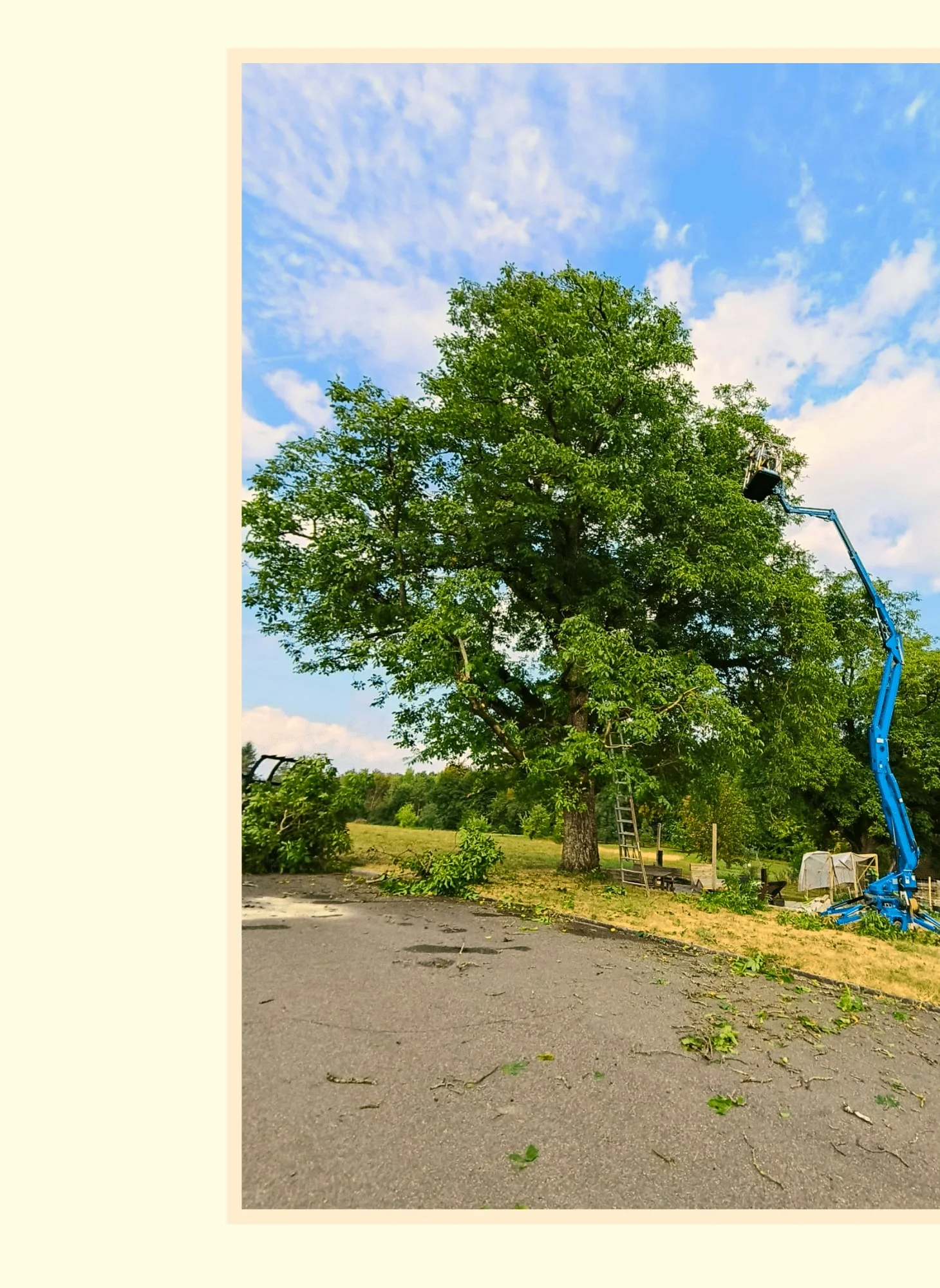 Gartenpflege und Gehölzschnitt