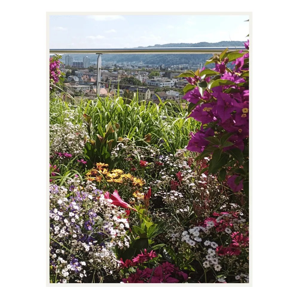 Farbenfrohe Mischbepflanzungen JOHO Garten AG