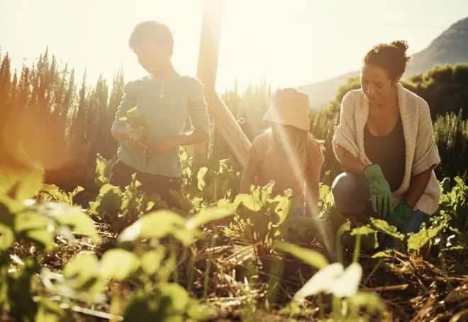 Über 600 treue Stammkunden JOHO Garten AG
