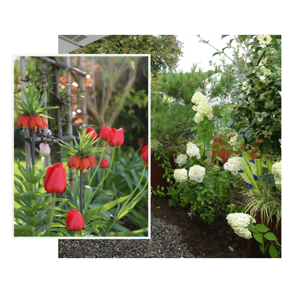 Farbenfrohe Gartenbepflanzung