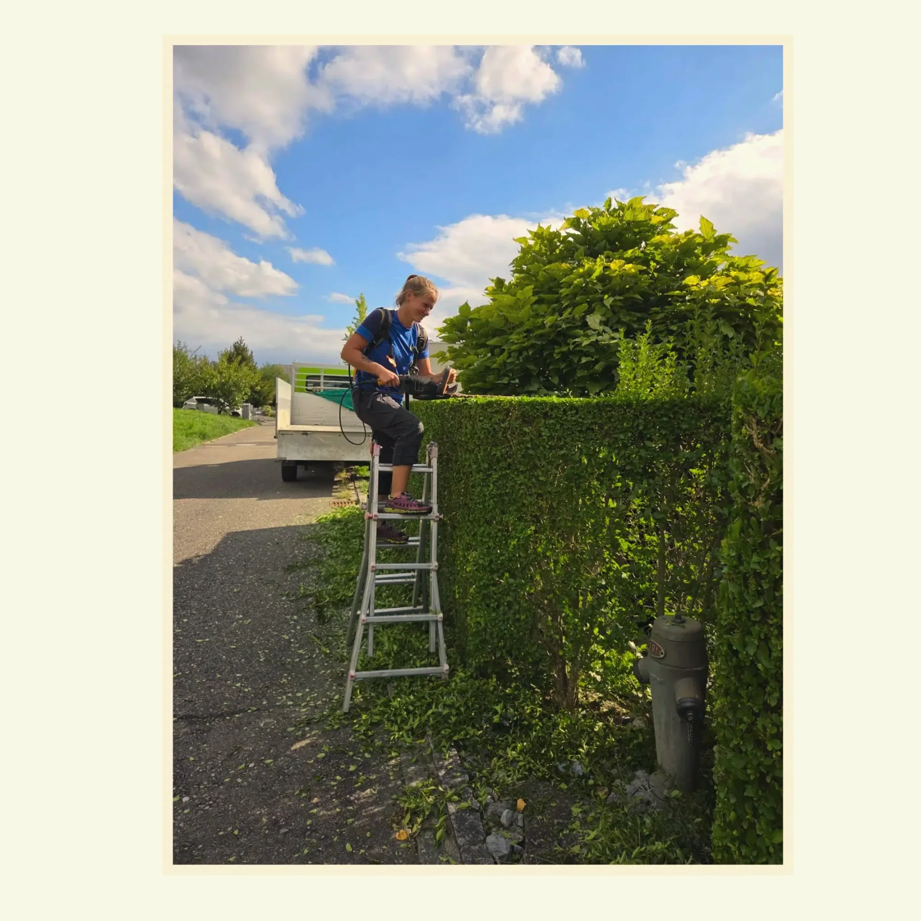 Fachgerechter Heckenschnitt im Garten