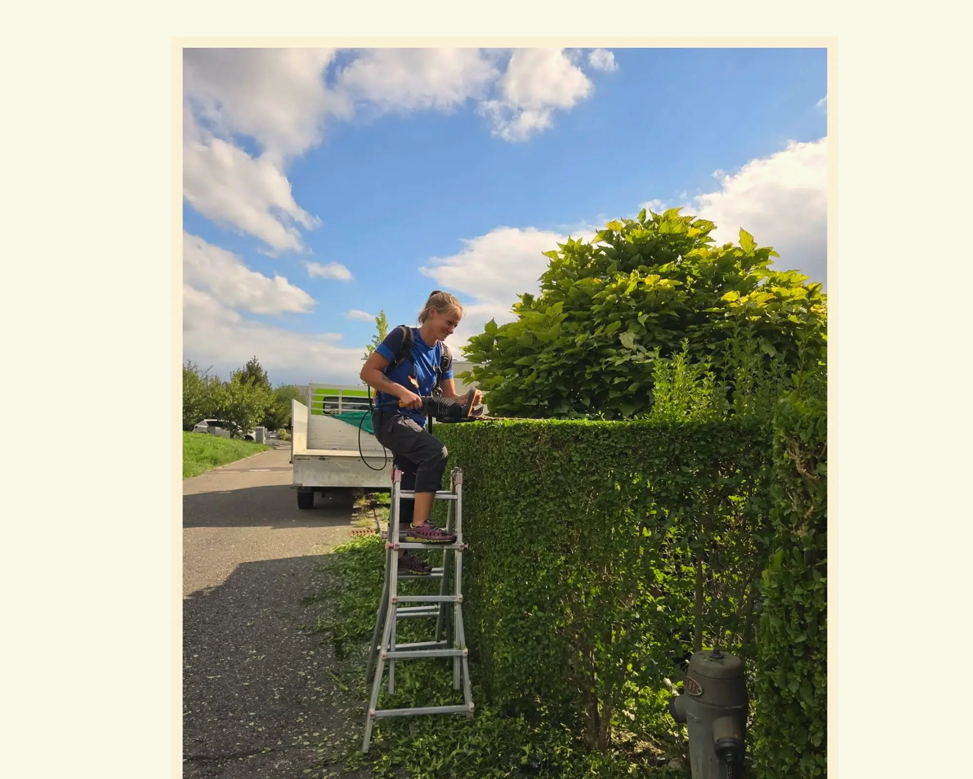 Heckenschnitt bei der professionellen Gartenpflege in Wohlen