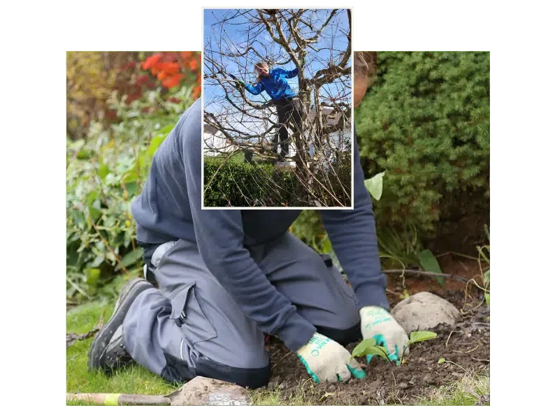 Auf in die neue Gartensaison