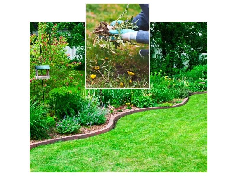 Gartenrenovation – aus alt wird wow!