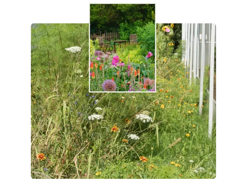 Biodiversität im Garten