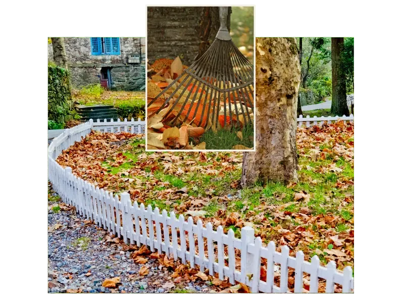 Garten im Herbst