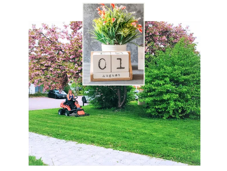 Gartenpflege mit Plan
